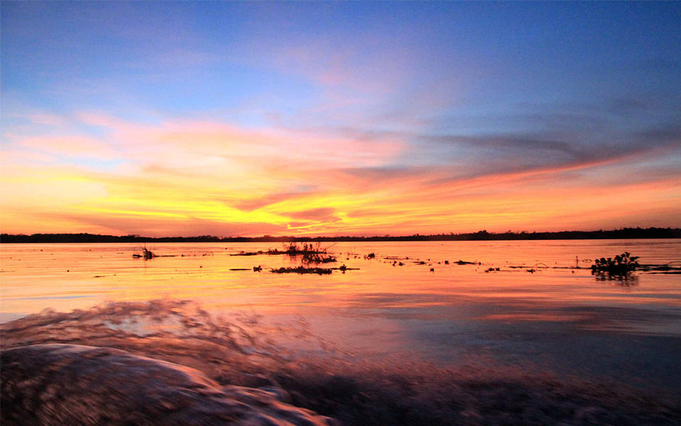 Illuminazione acquario