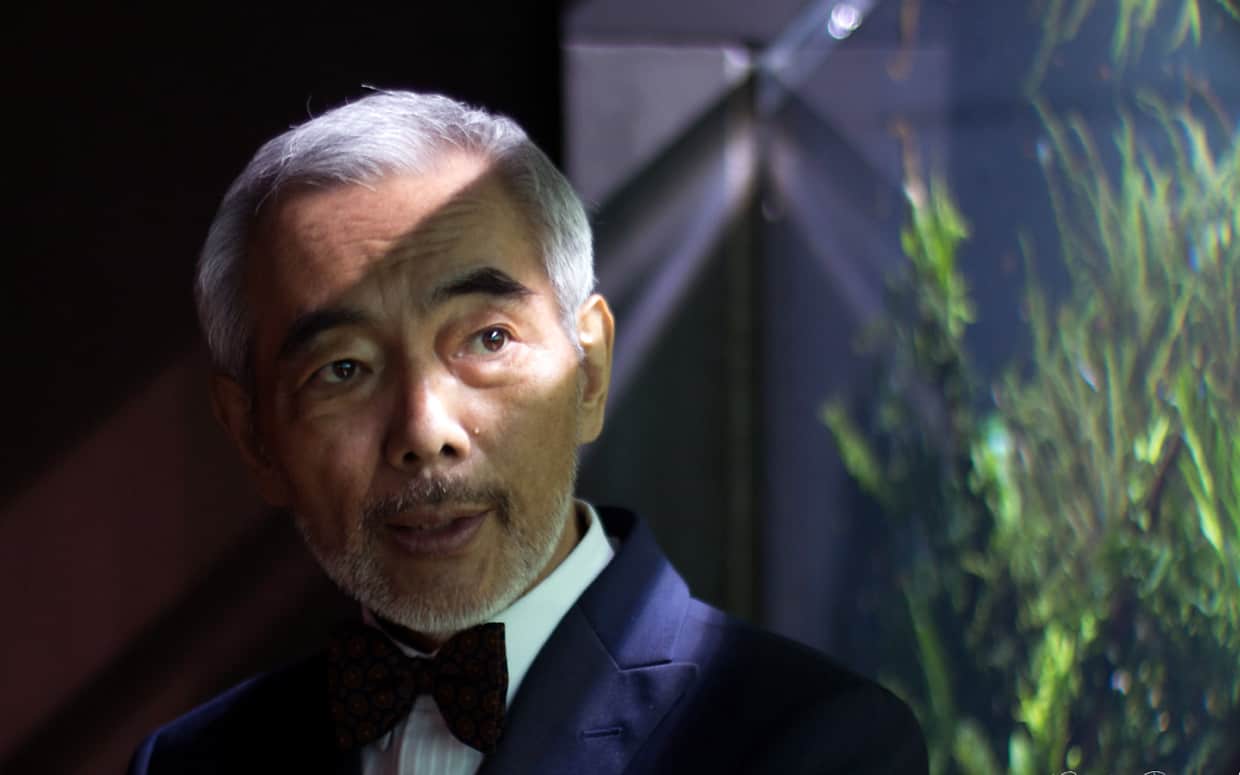 Takashi Amano acquari: natura e design