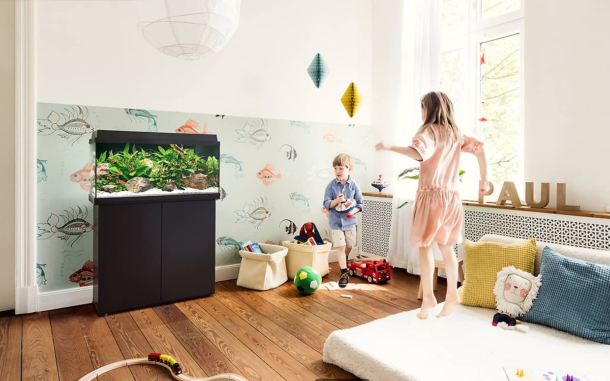 Acquario aperto o chiuso