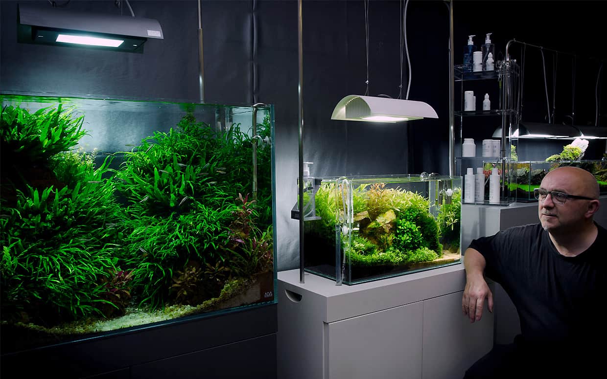 Aquascape: tecnica e arte in un libro