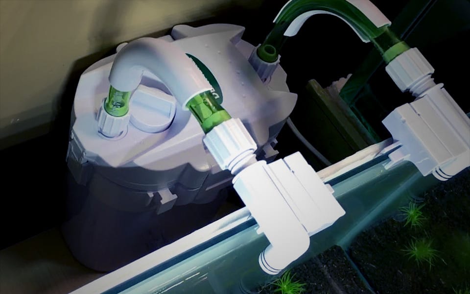 Filtraggio acquario naturale