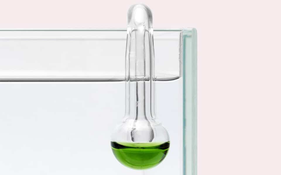 Impianto CO2 per acquario