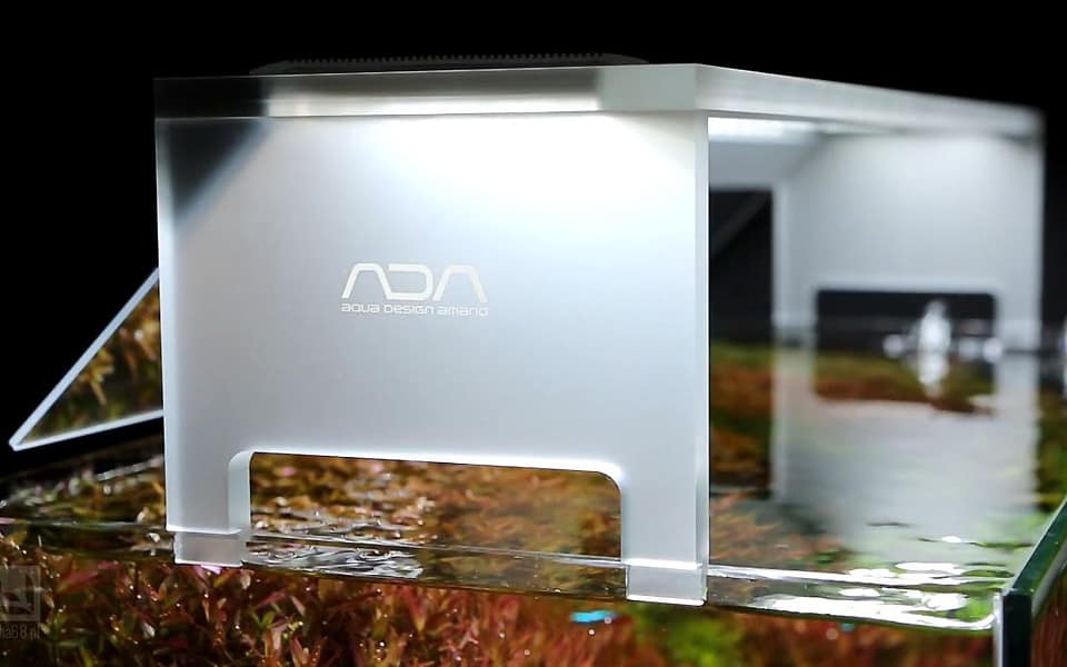 Luce per acquario: il ciclo della vita