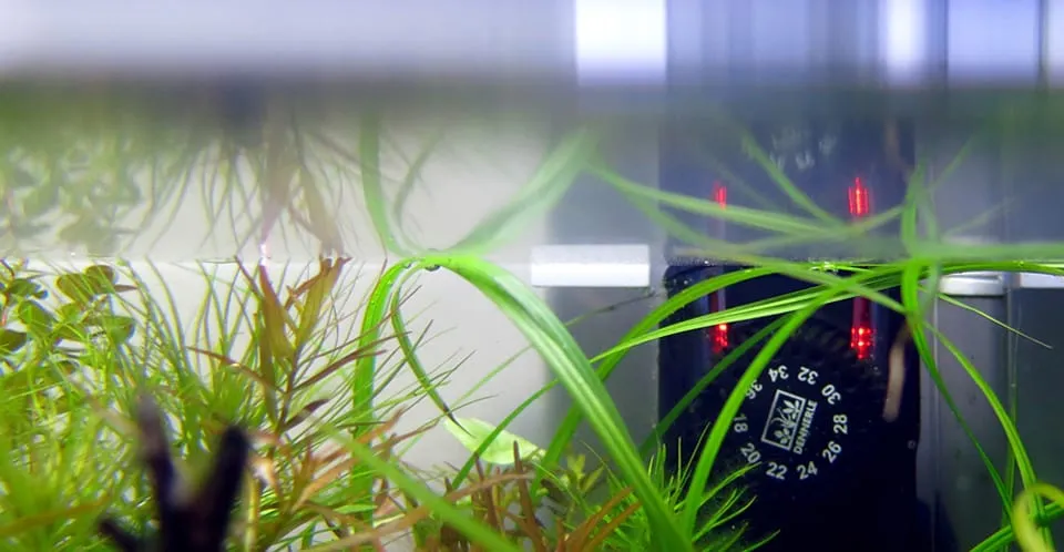 Riscaldatore per acquario