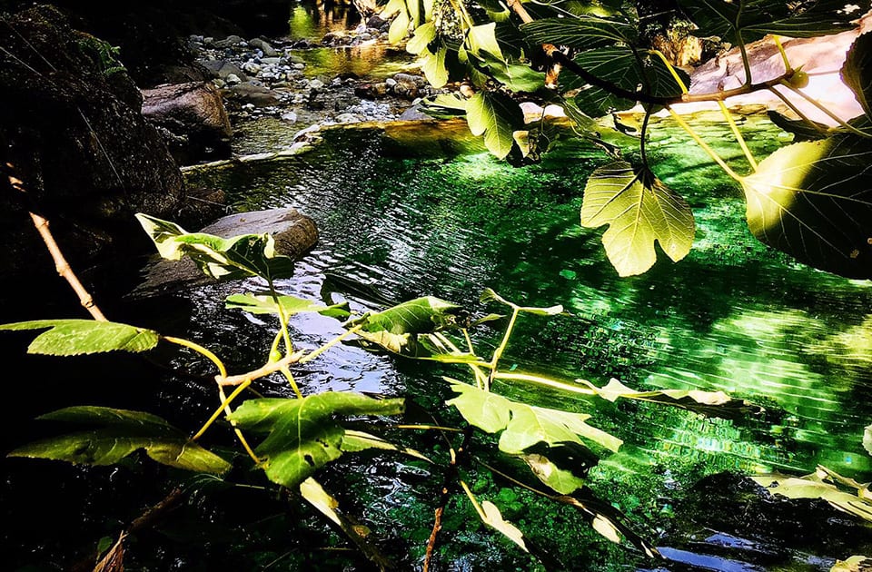 Come allestire un acquario