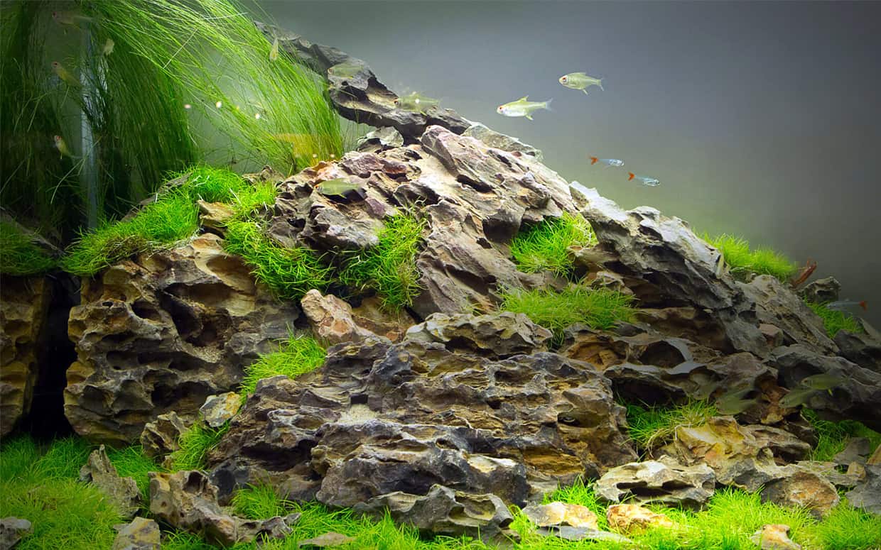 Dragon stone: le pietre del drago