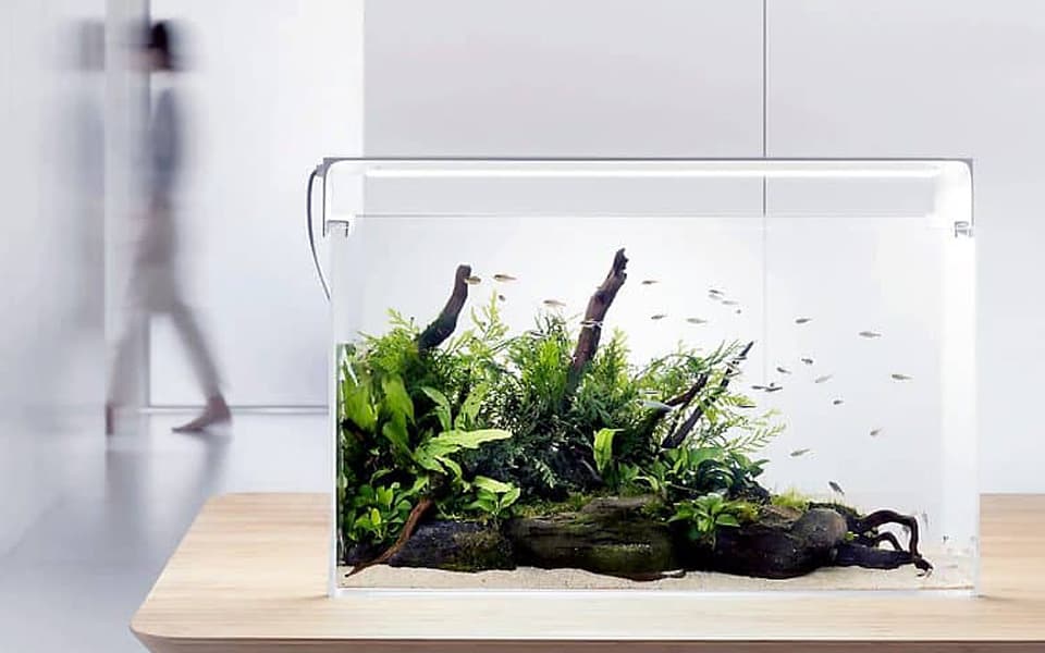 Illuminazione per acquario di Design