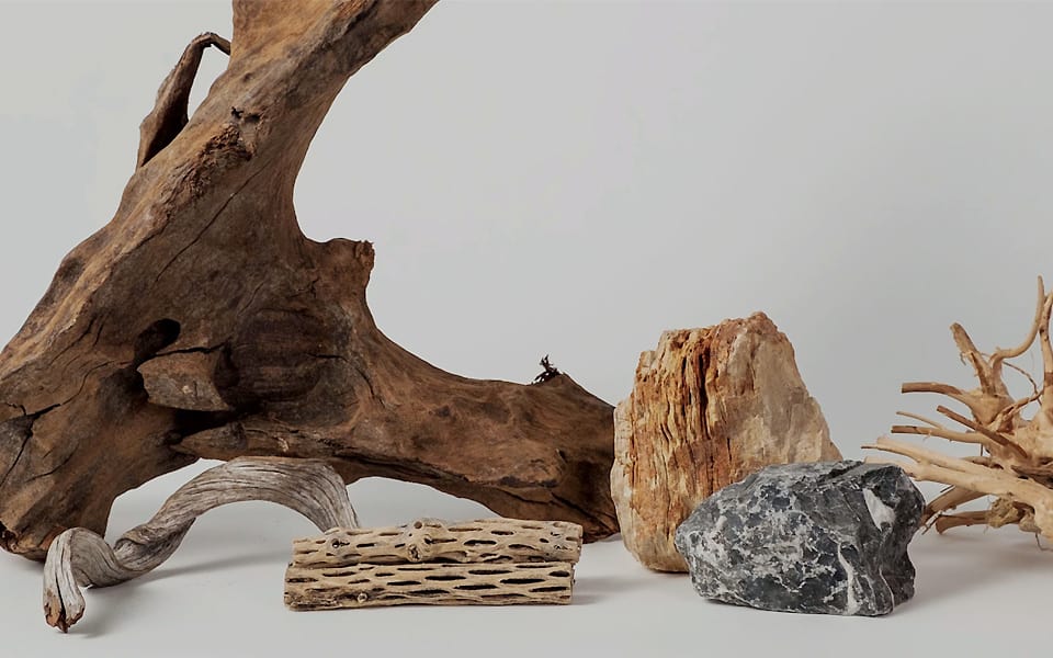 Legni per acquario in casa