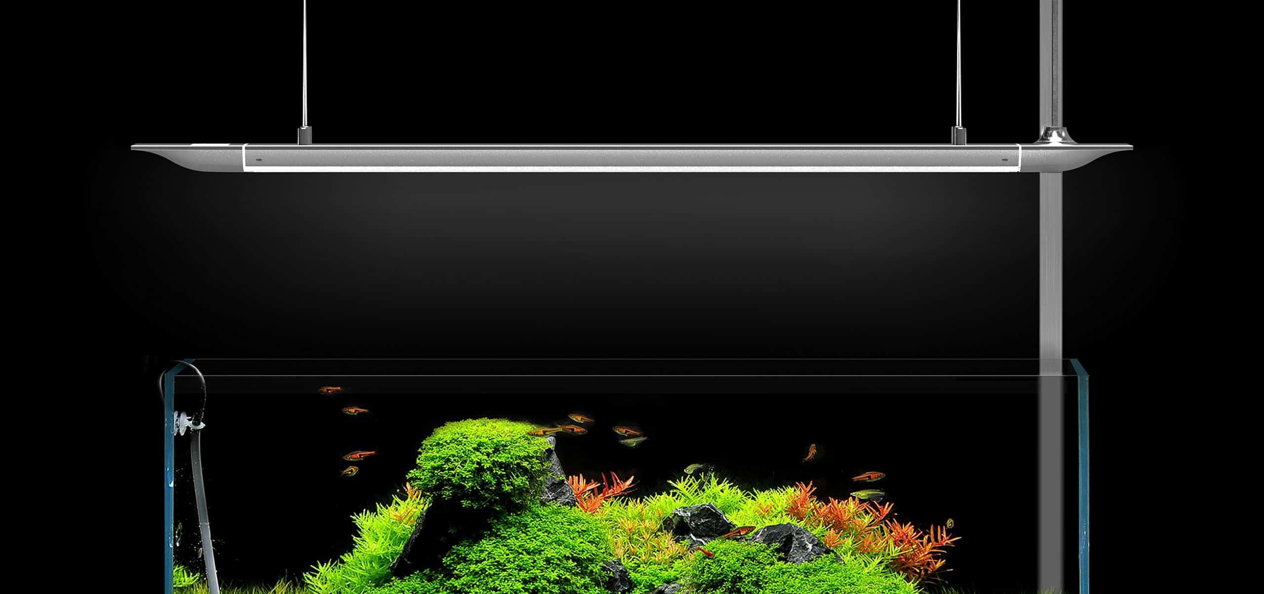 Illuminazione per acquario 