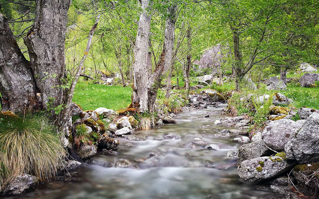 Acquario biotopo: il fiume