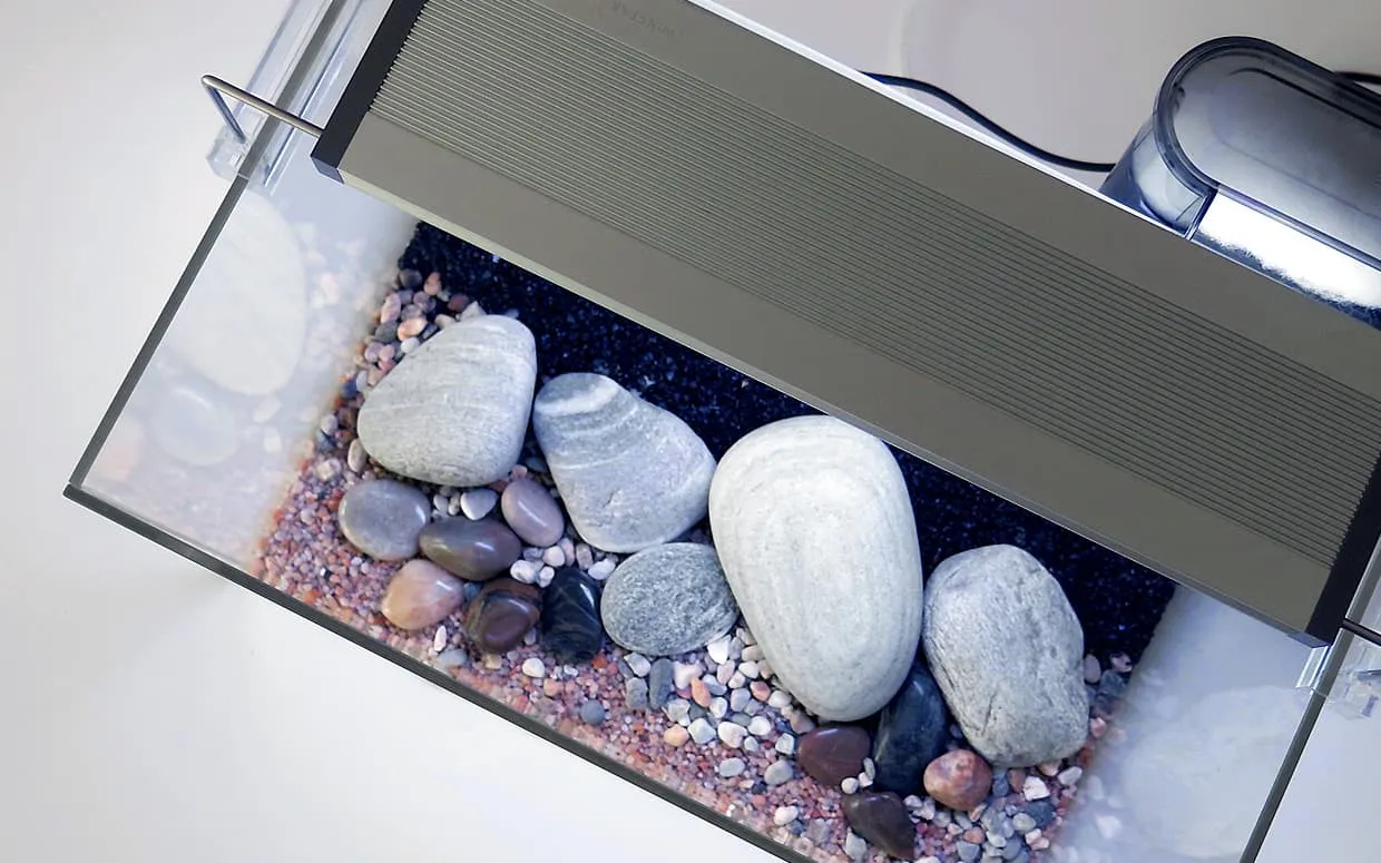 Acquario da 20 litri