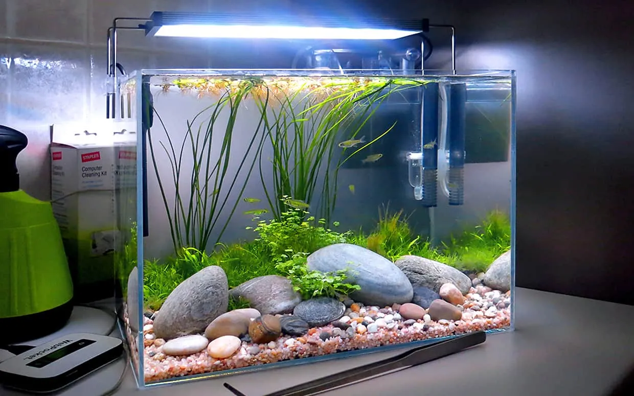 Piccoli acquari da arredo