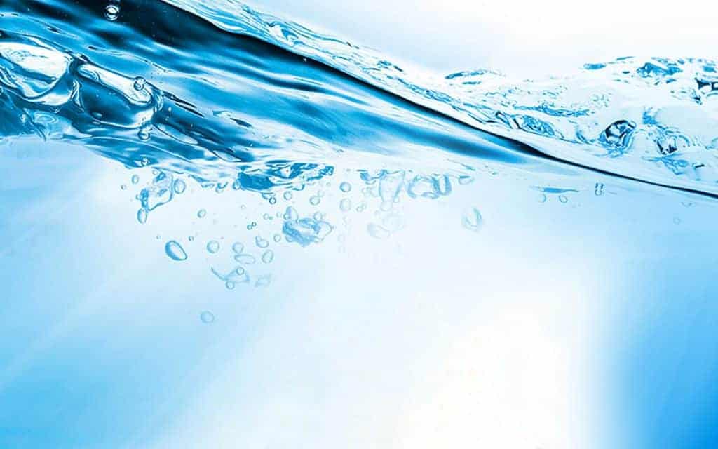 Acqua per acquario: un bene prezioso