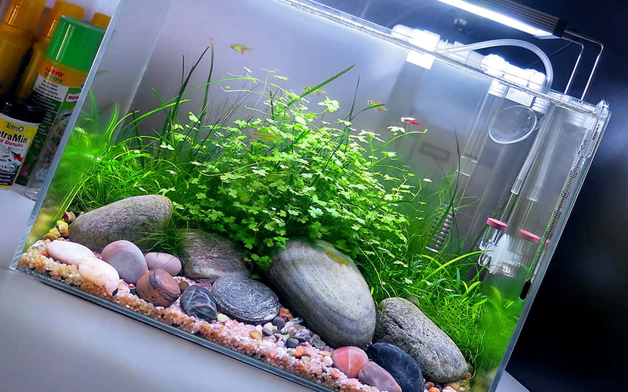 Fertilizzante acquario completo