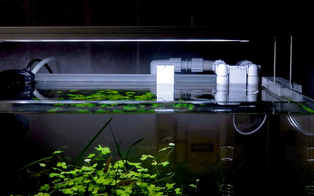 Filtro per acquario piccolo appeso!