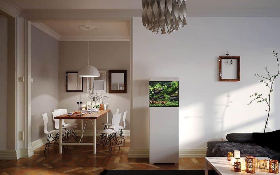 Acquario Oase: natura e design