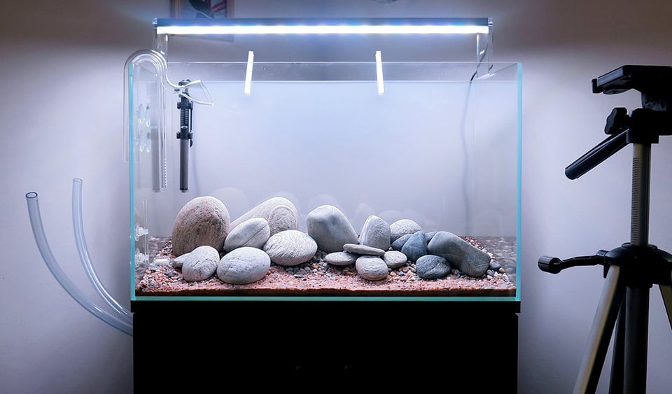 Allestire un acquario- guida pratica