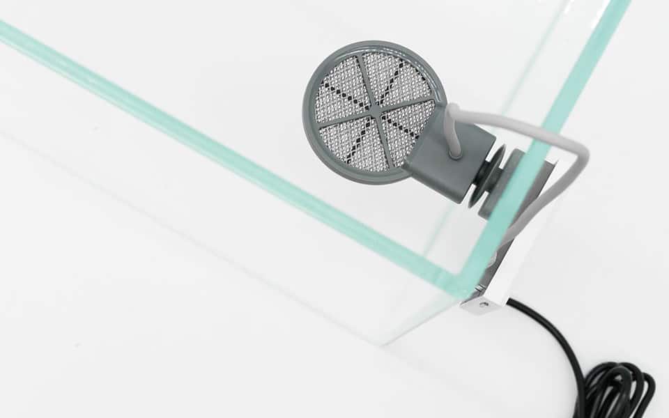 Antialghe per acquario