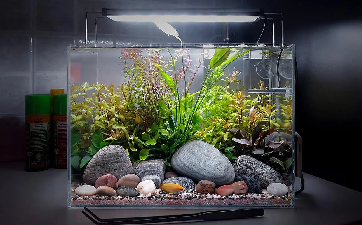 Fondo per acquario fluorite