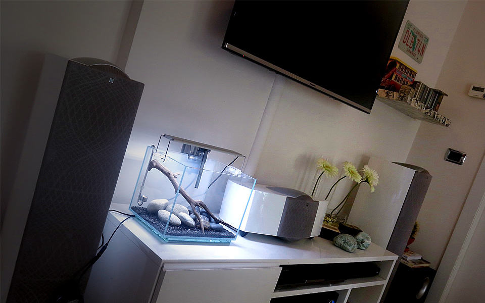 Wabi-Kusa in soggiorno