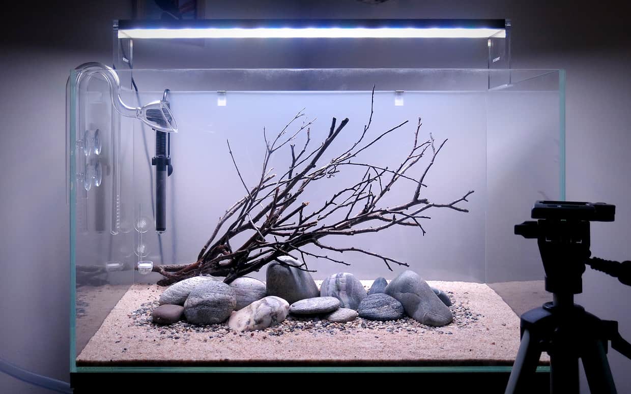 Acquario da 60 litri