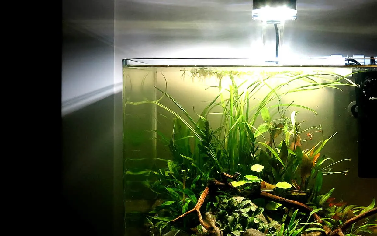 Acquario moderno di design