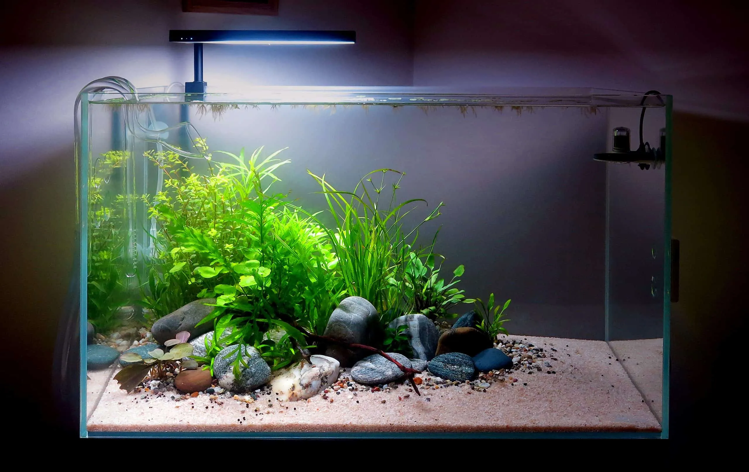 Acquario moderno e naturale