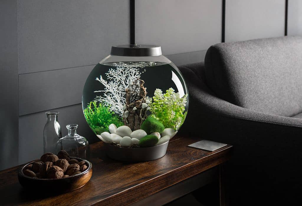 Acquario Biorb