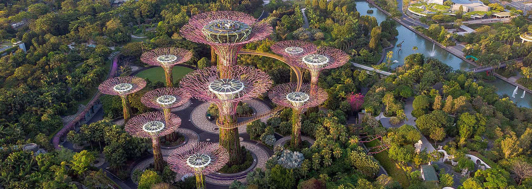 Aquascaping a Singapore