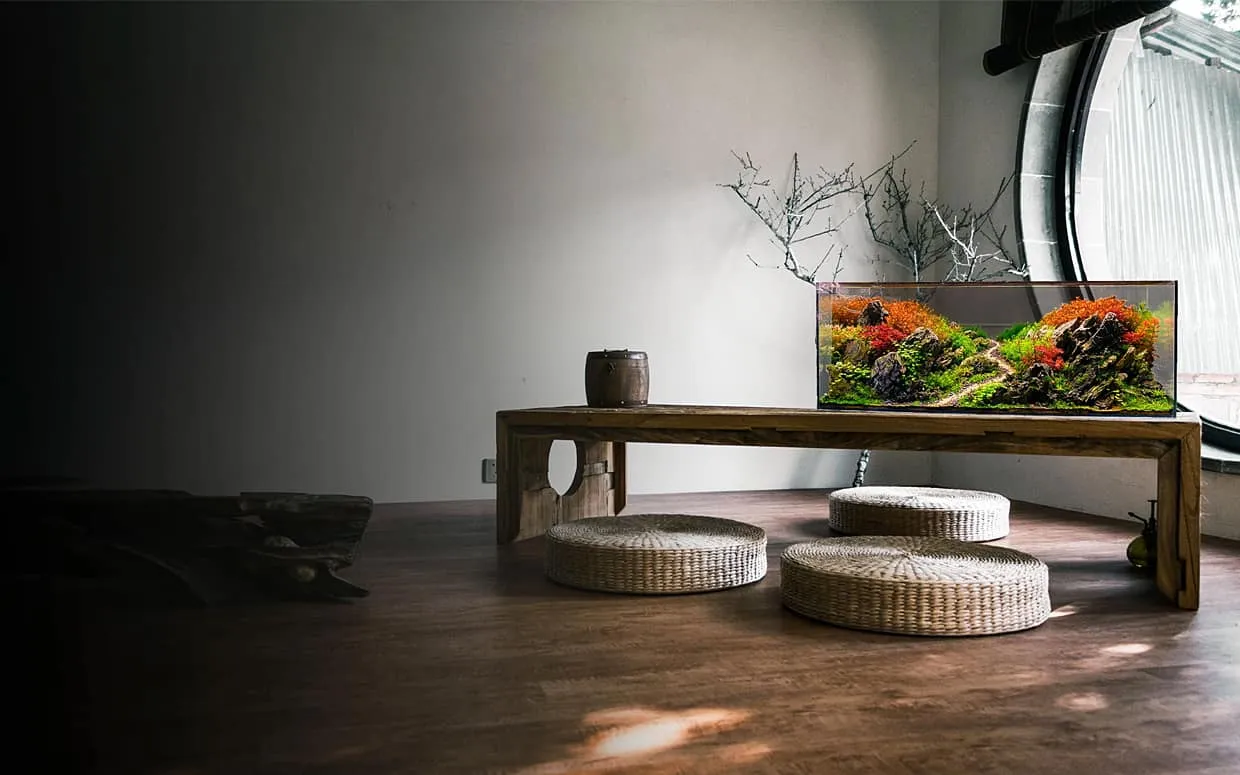 Aquascaping: le piante in acquario