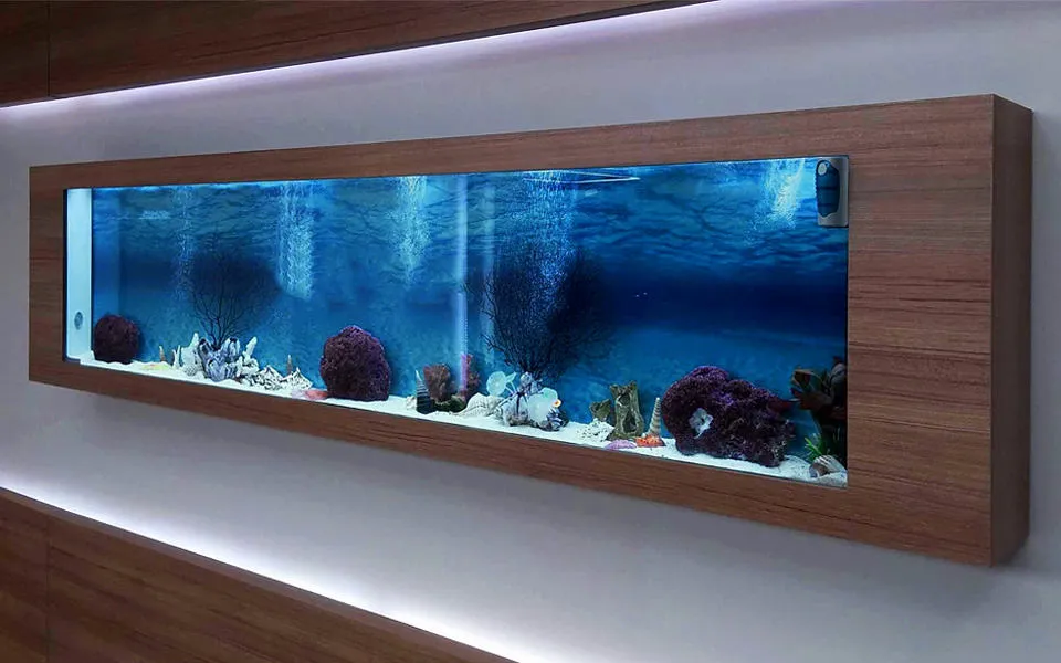 Miglior acquario in casa
