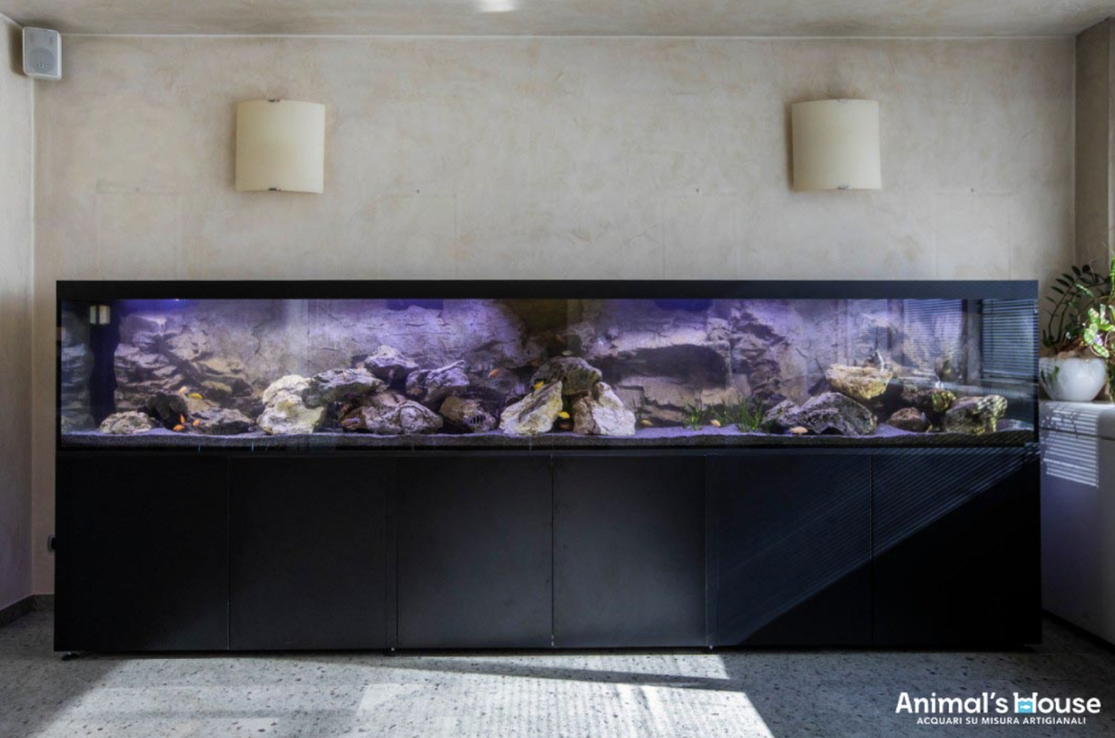 acquari particolari per la casa