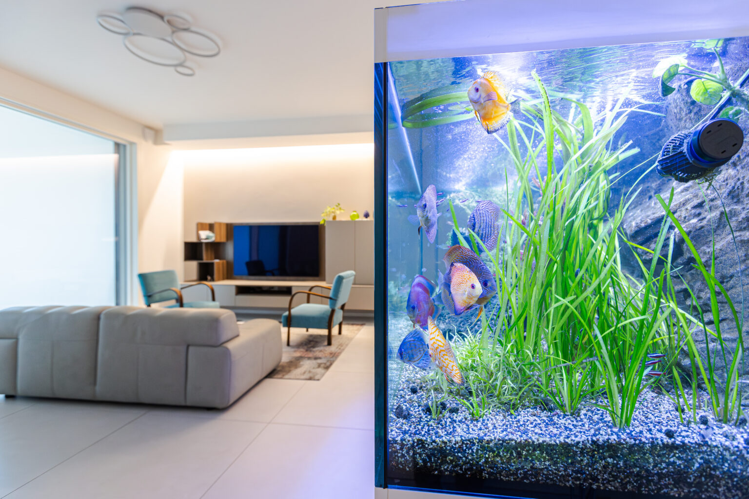 Equarri Vendita di Acquari Online | AcquarioPro