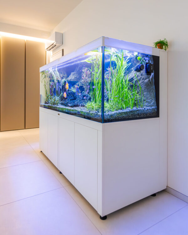 Equarri Vendita di Acquari Online | AcquarioPro