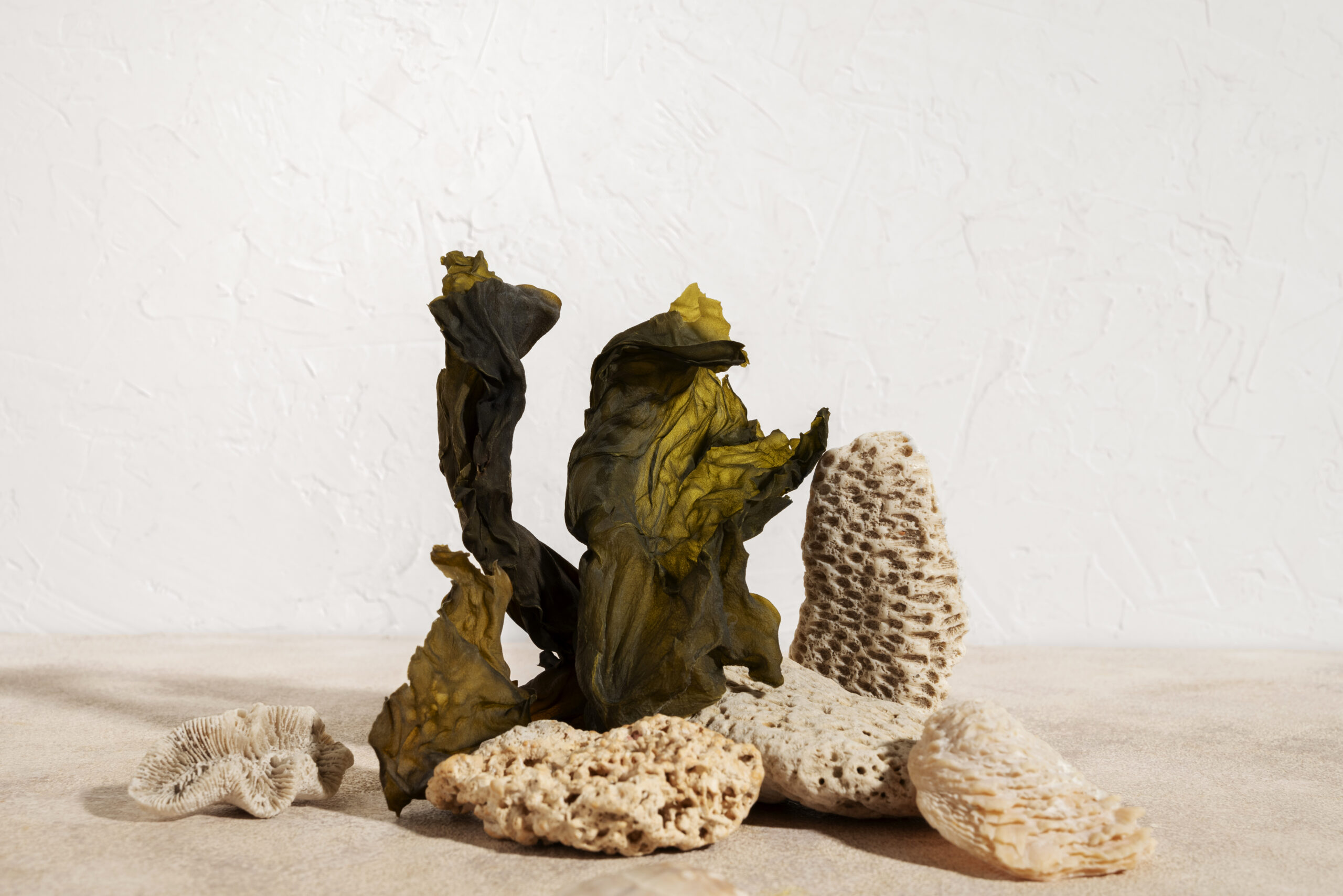 decorazioni per acquario