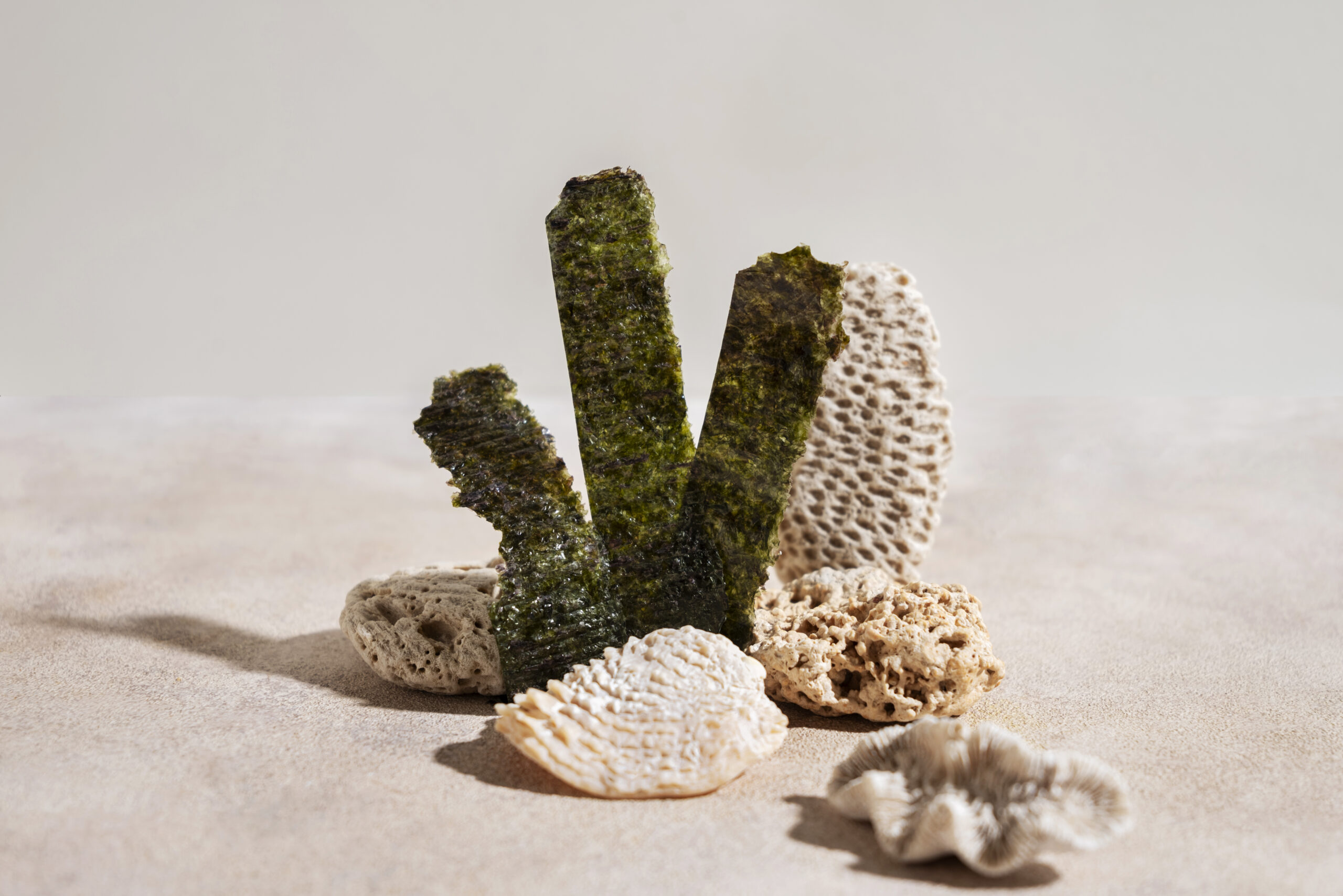 sabbia acquario marino